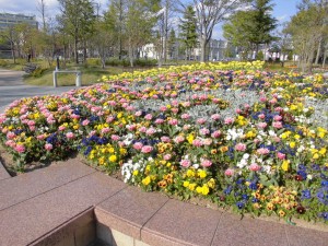 CIMG0980